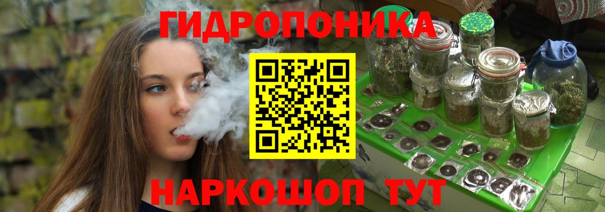 Конопля индика Краснознаменск