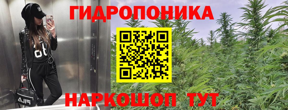Краснознаменск  Бошки марихуана Bruce Banner  Марихуана OG Kush  Канабис MAZAR  Вход с VPN 
